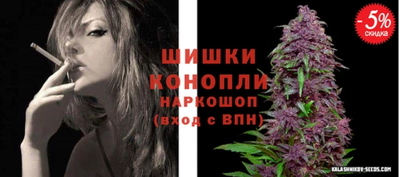 СК Ельня
