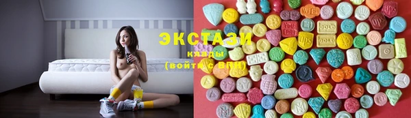 СК Ельня