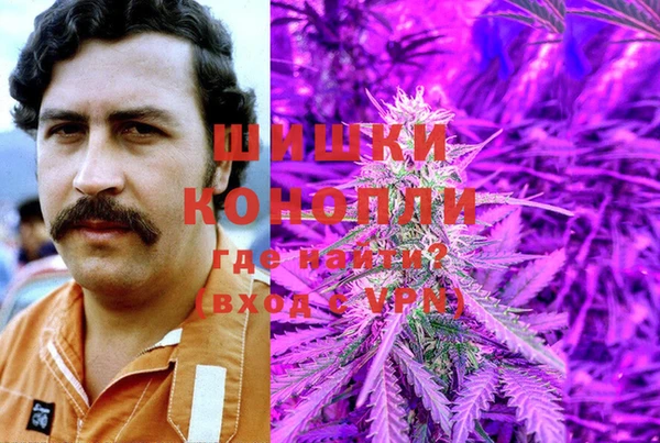 СК Ельня