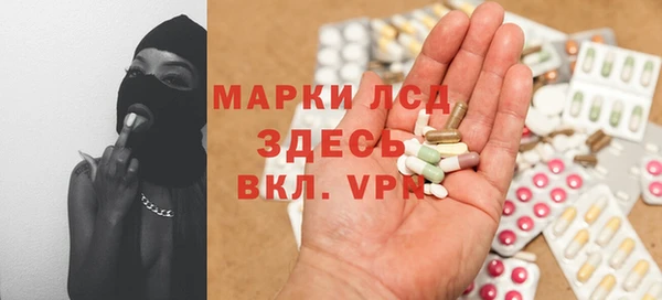 СК Ельня