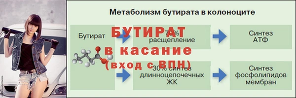 СК Ельня