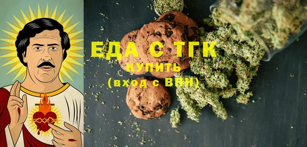 СК Ельня