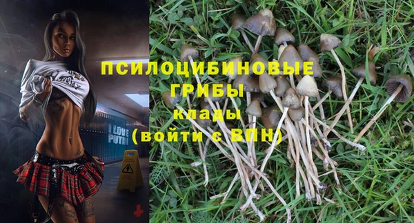СК Ельня