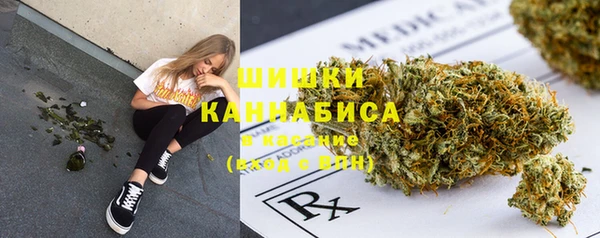 мдпв Елизово