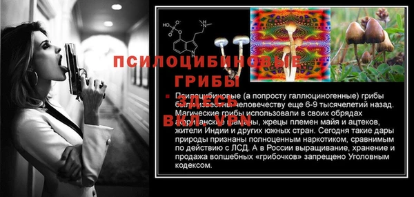 мдпв Елизово