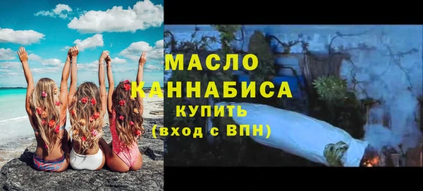СК Ельня