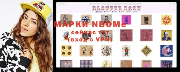 СК Ельня