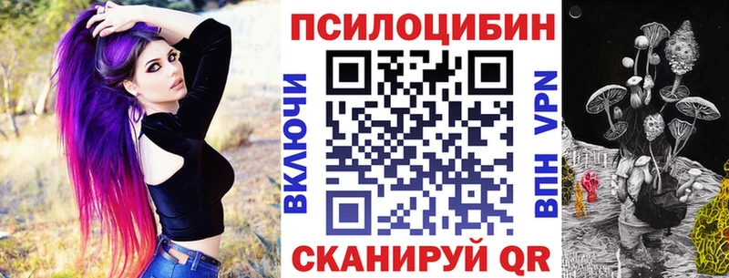 Купить где  Заполярный  Псилоцибиновые грибы Cubensis 